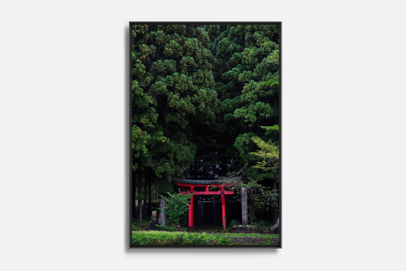 Torii#1