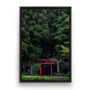 Torii#1